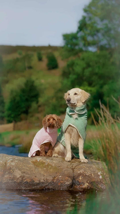 Pastel Pooch Boutique ® Dog Drying Coat