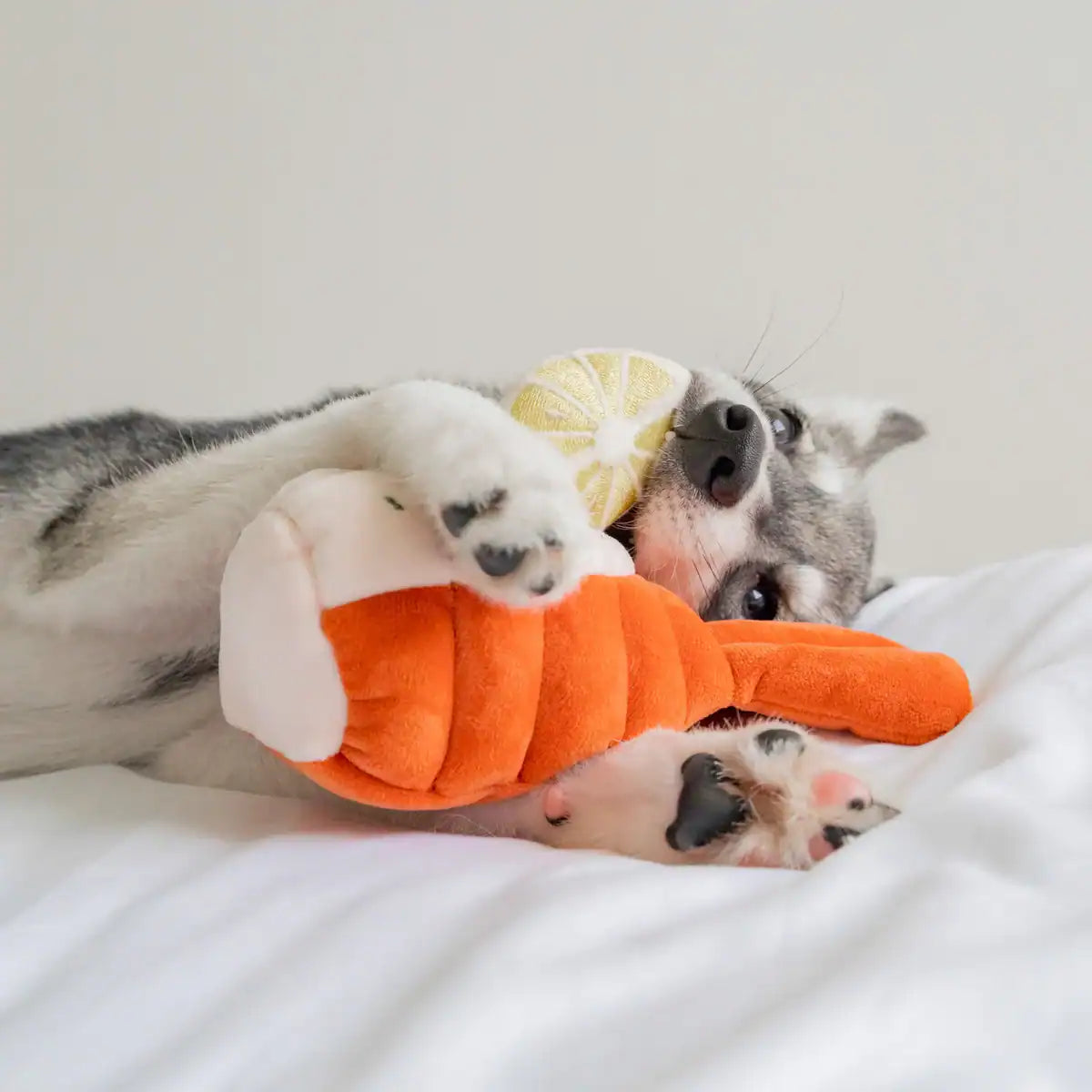 Pups &amp; Bubs Enrichment Snuffle Toys