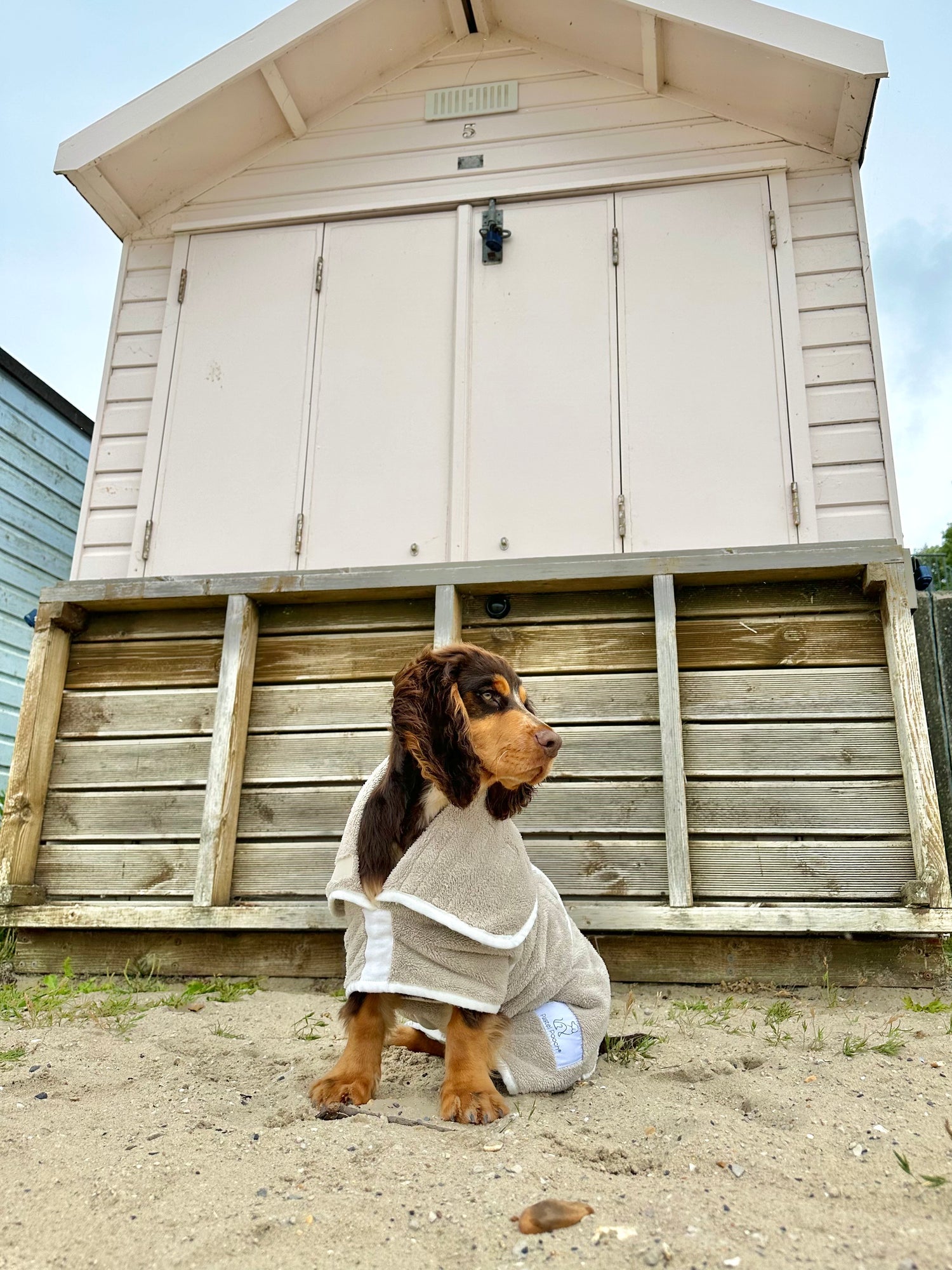 Pastel Pooch Boutique ® Dog Drying Coat (Gen 1 - The Original) Clearance Sale