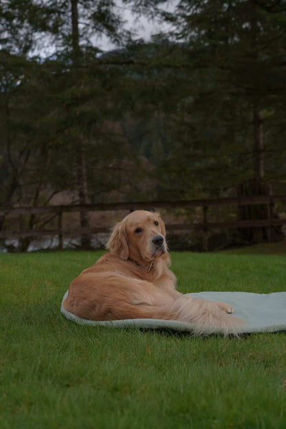 Pastel Pooch Boutique ® Luxe Quilted Bouclé Settle Mat
