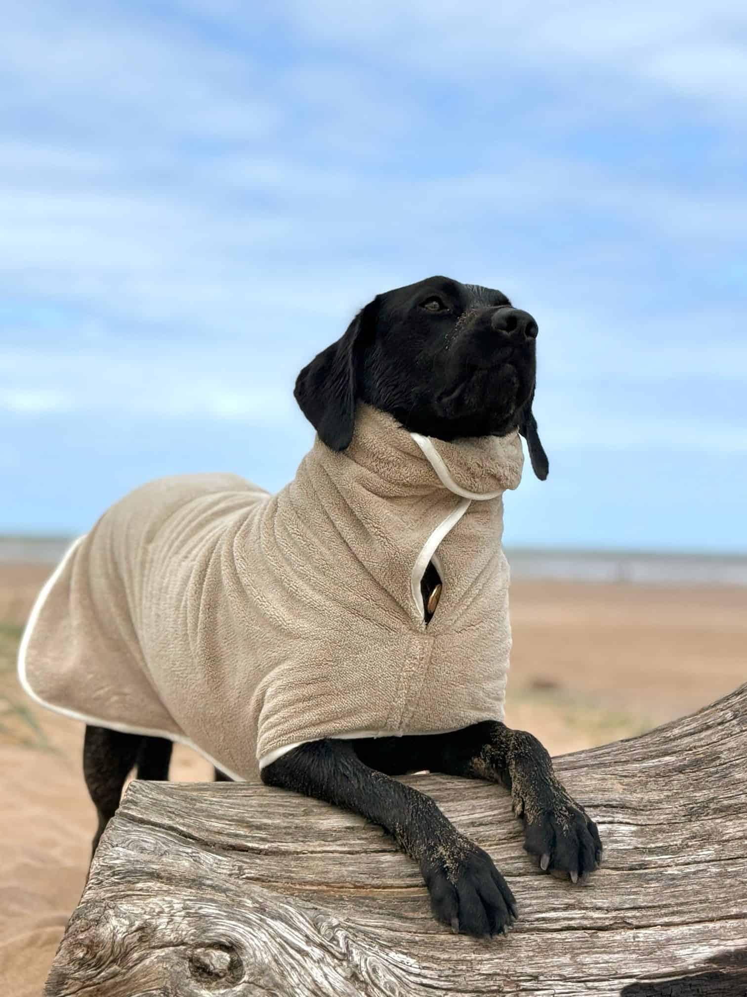 Pastel Pooch Boutique ® Dog Drying Coat (Gen 2- The Modified)