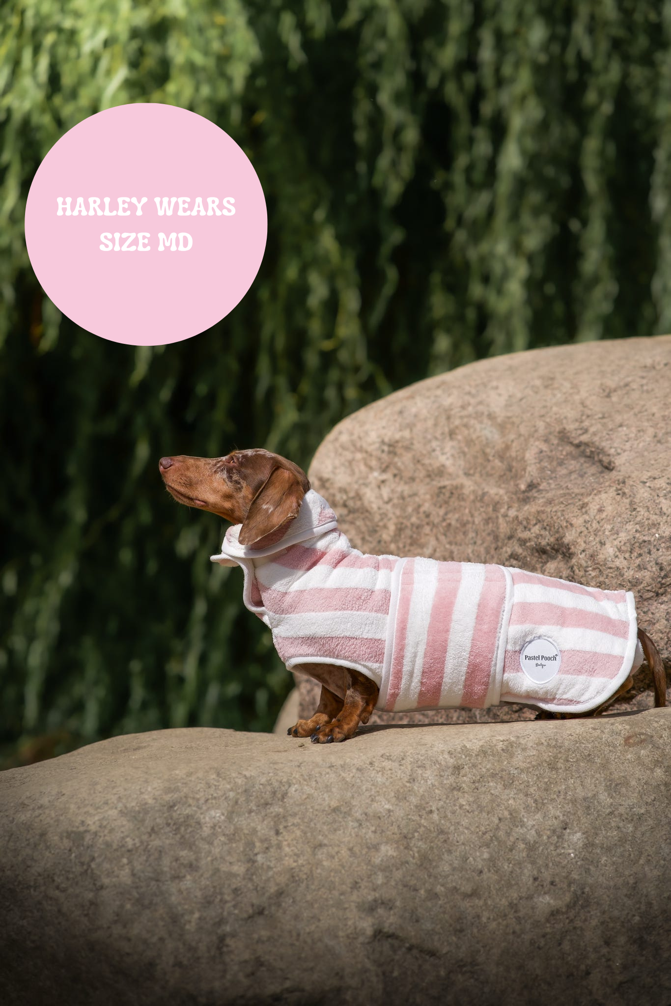 The Striped Collection - Luxury Dog Drying Robes