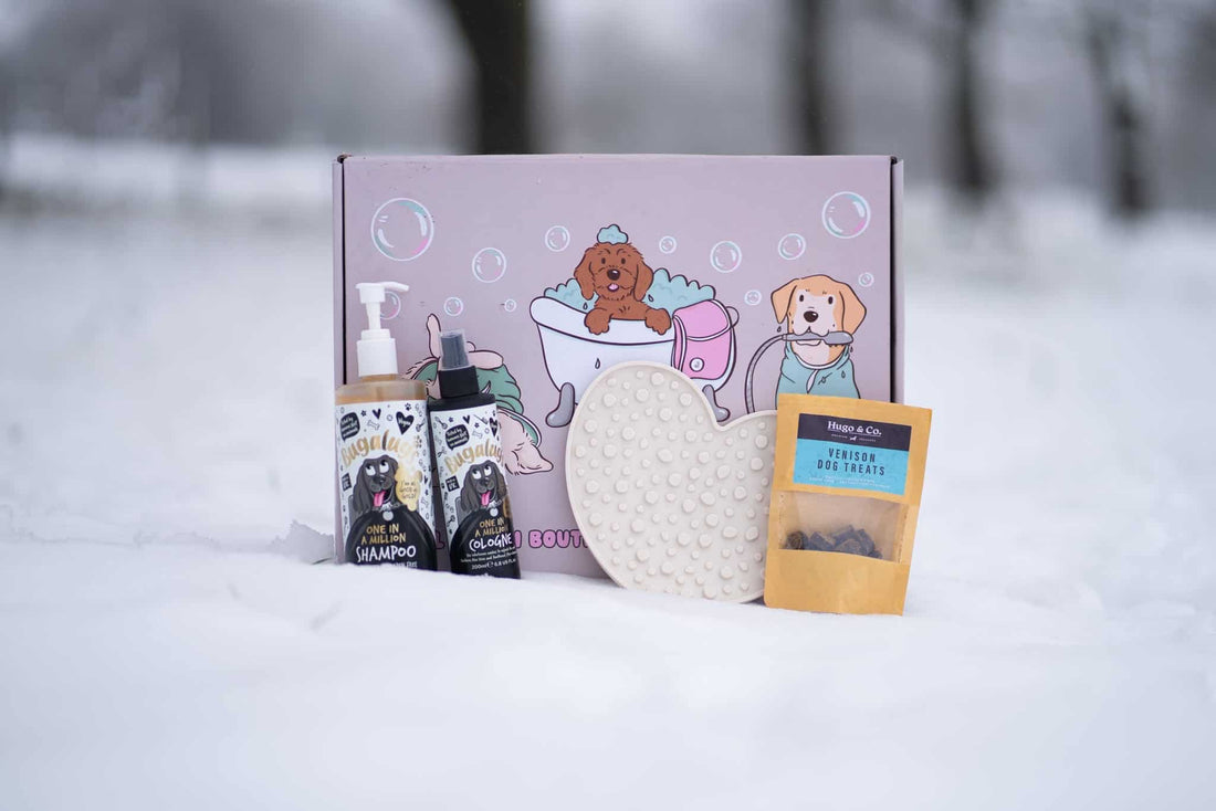 pastel pooch pamper box