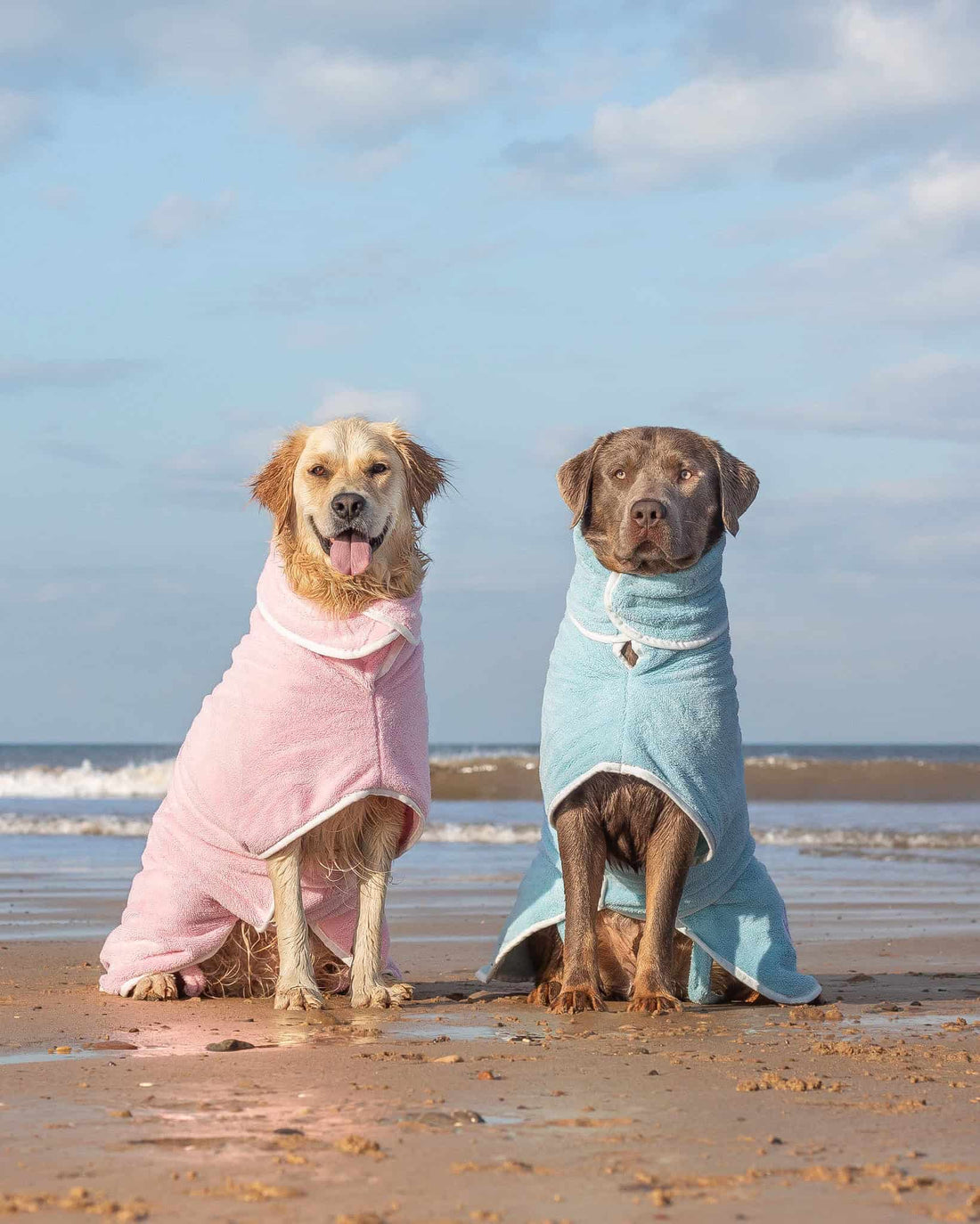 pink and blue robes