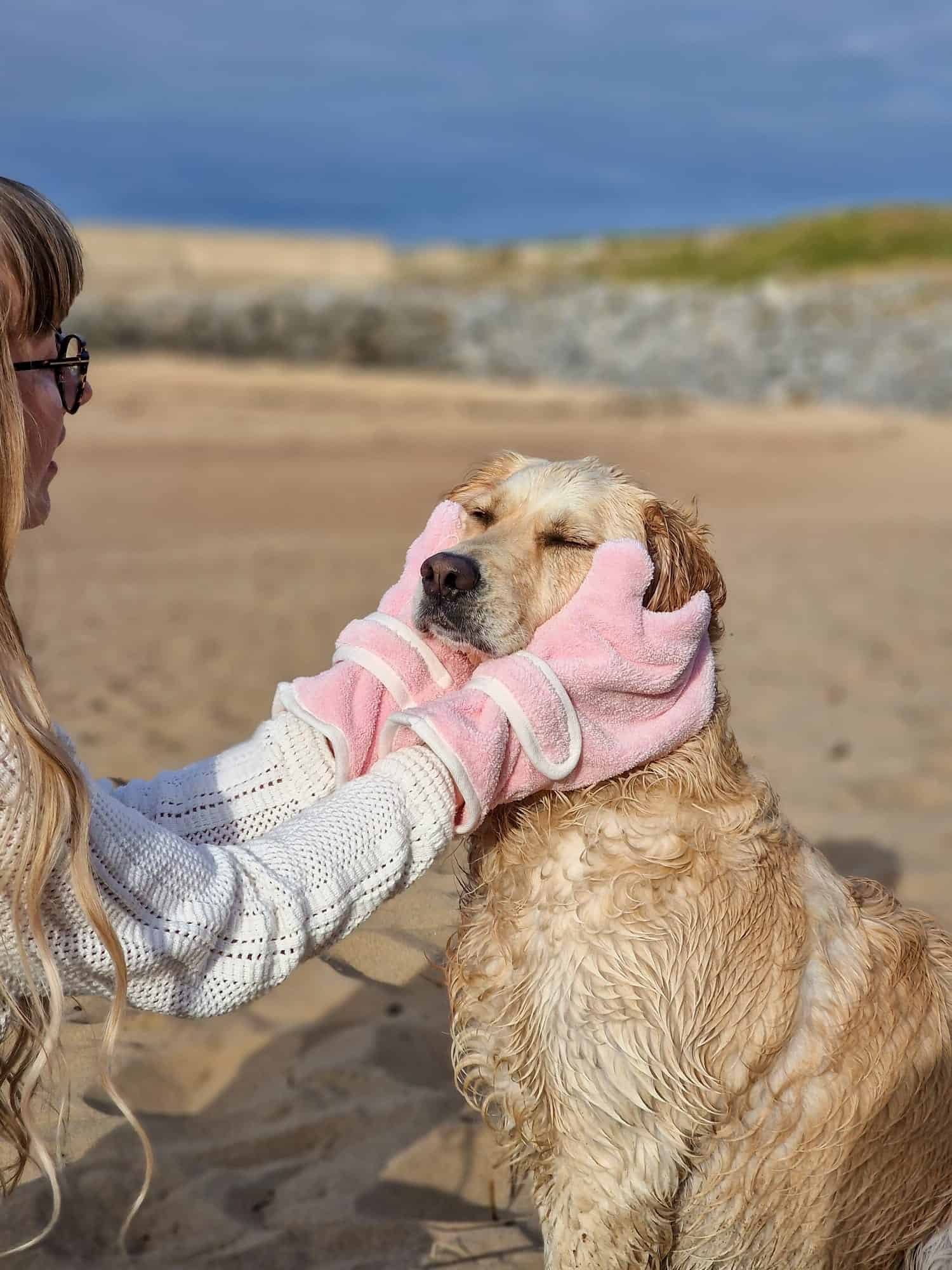 Dog Drying Gloves