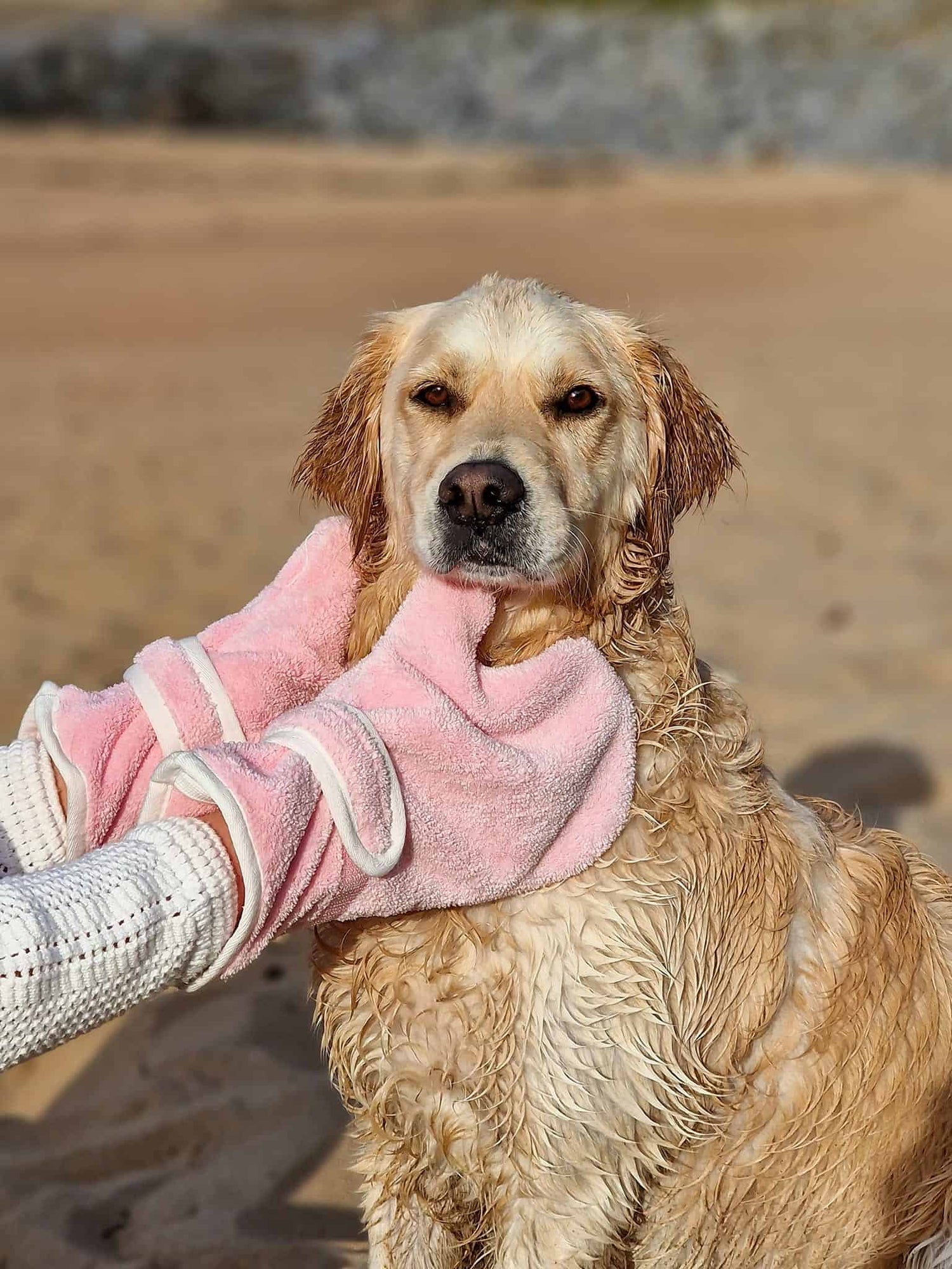 Dog Drying Gloves