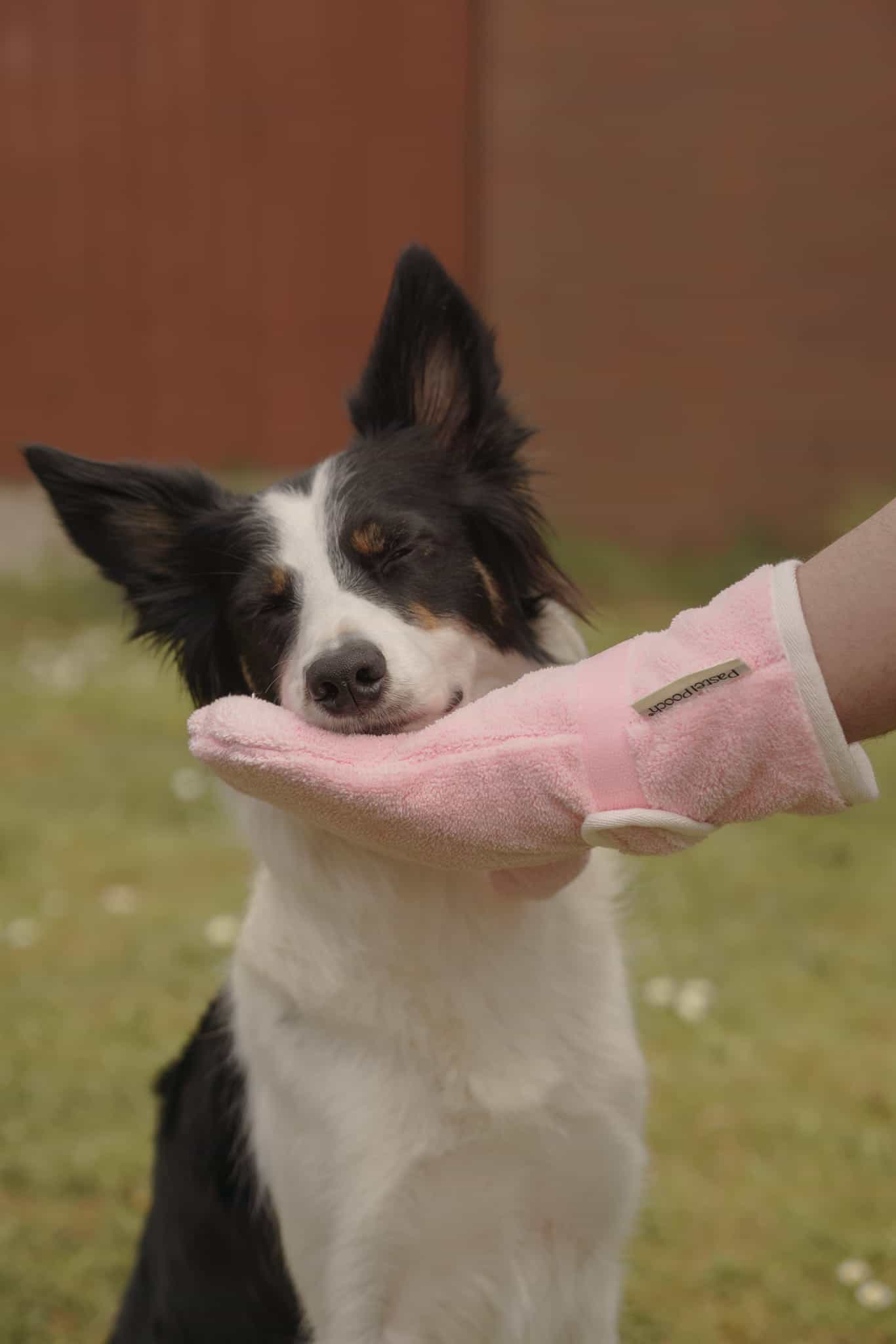 Dog Drying Gloves