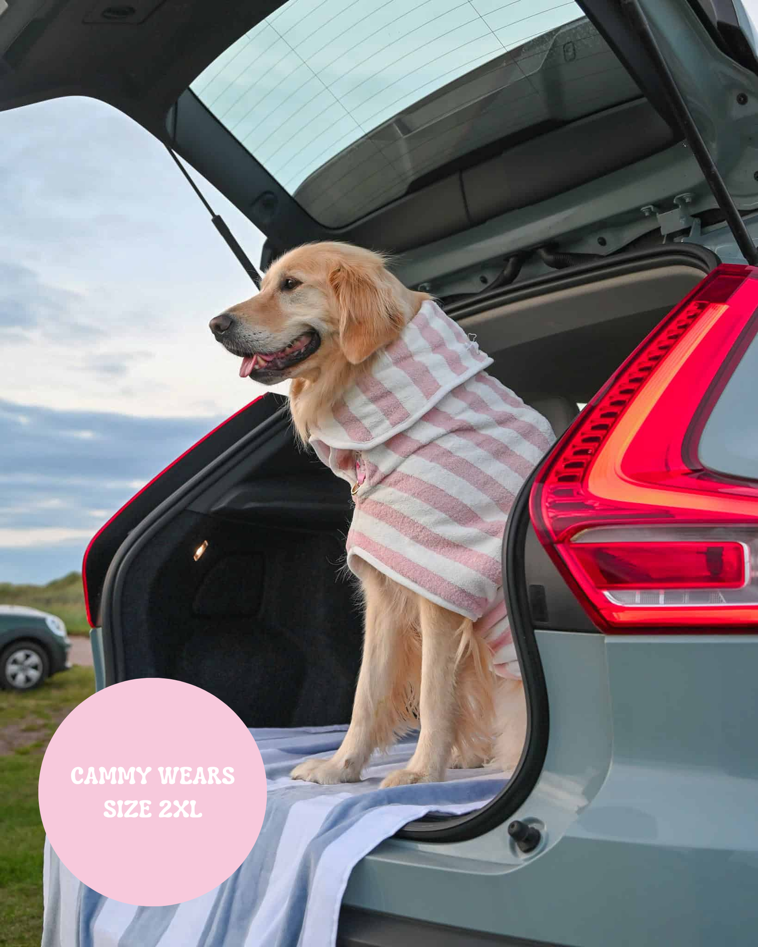The Striped Collection - Luxury Dog Drying Robes