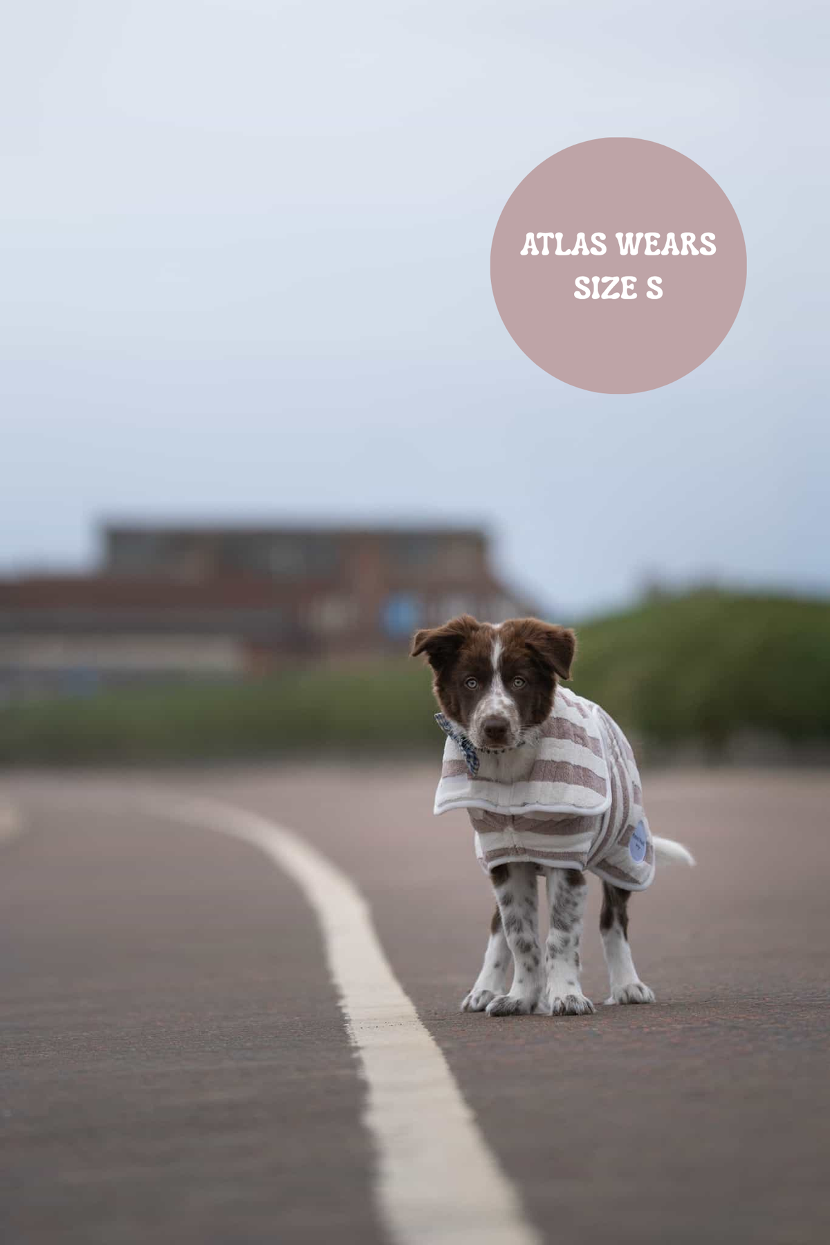 The Striped Collection - Luxury Dog Drying Robes