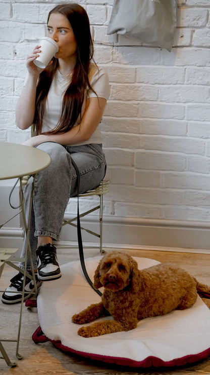 Pastel Pooch Boutique ® Luxe Quilted Bouclé Settle Mat