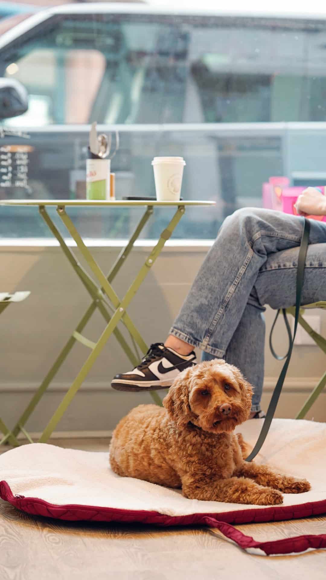 Pastel Pooch Boutique ® Luxe Quilted Bouclé Settle Mat