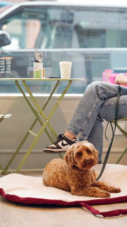 Pastel Pooch Boutique ® Luxe Quilted Bouclé Settle Mat