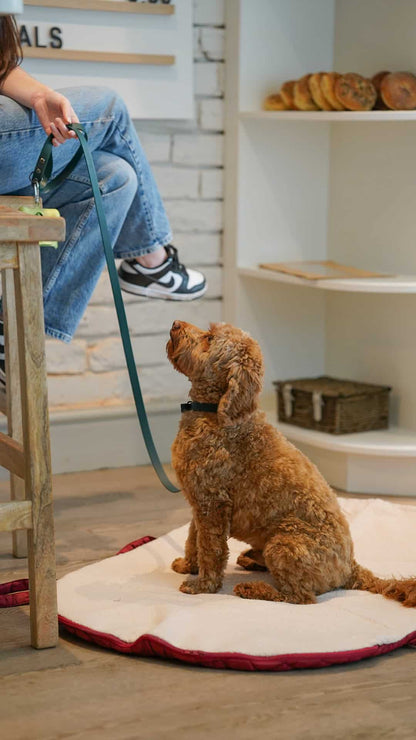 Pastel Pooch Boutique ® Luxe Quilted Bouclé Settle Mat