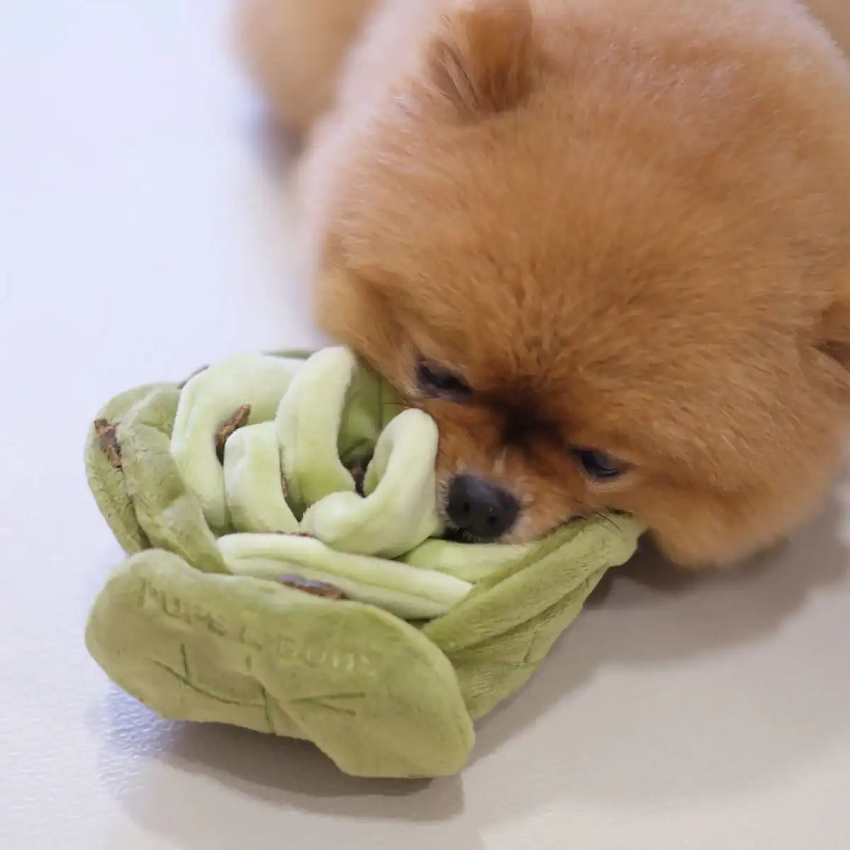 Pups &amp; Bubs Enrichment Snuffle Toys