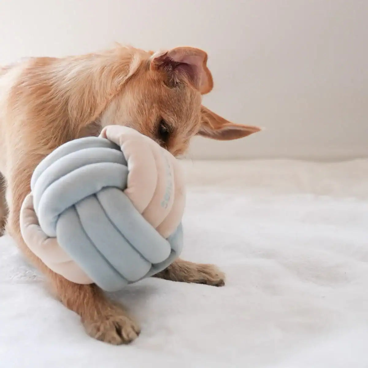 Pups &amp; Bubs Enrichment Snuffle Toys
