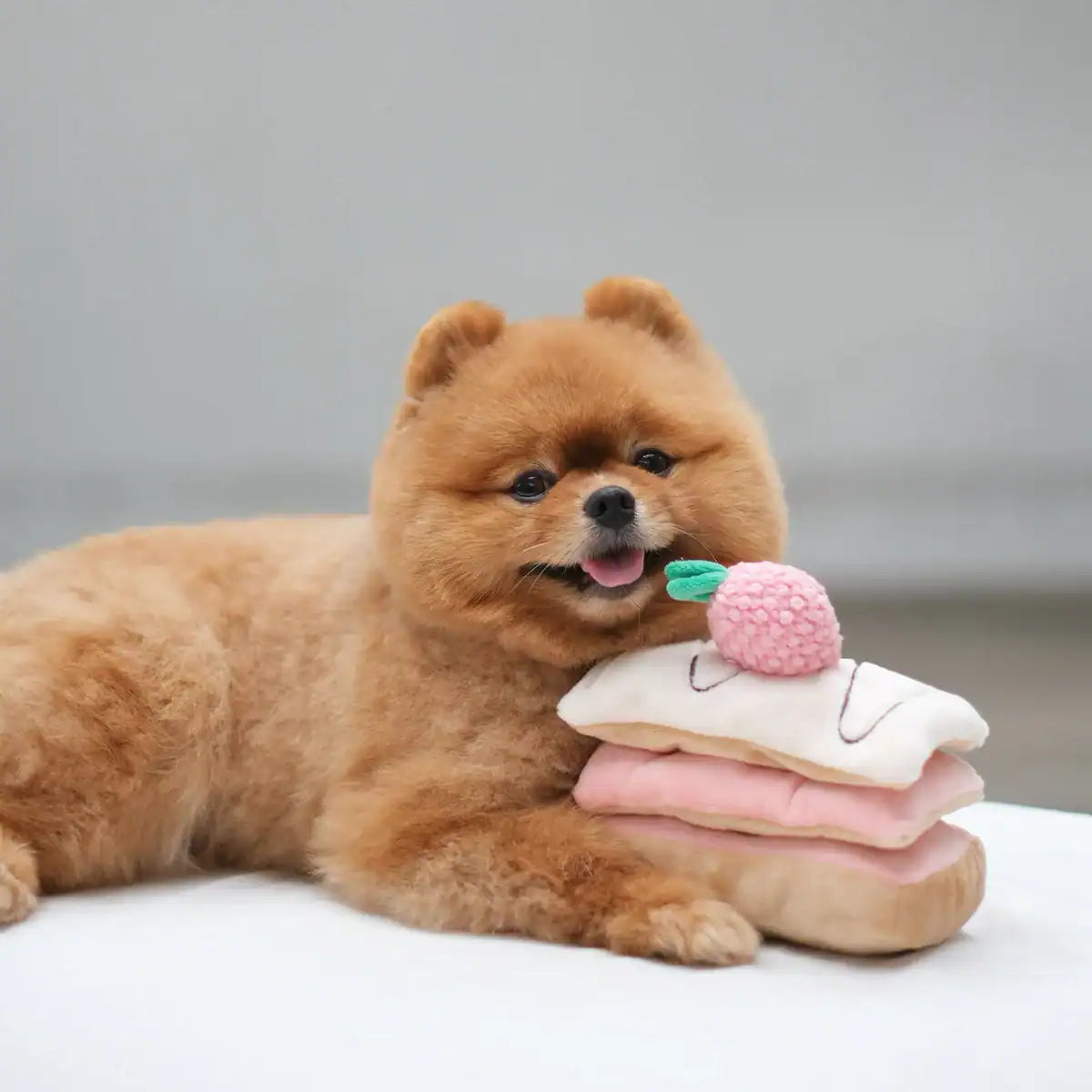 Pups &amp; Bubs Enrichment Snuffle Toys