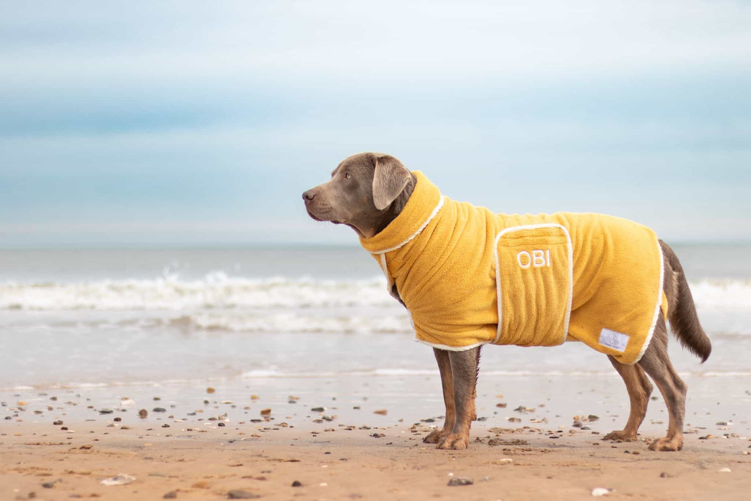 yellow dog bathrobe