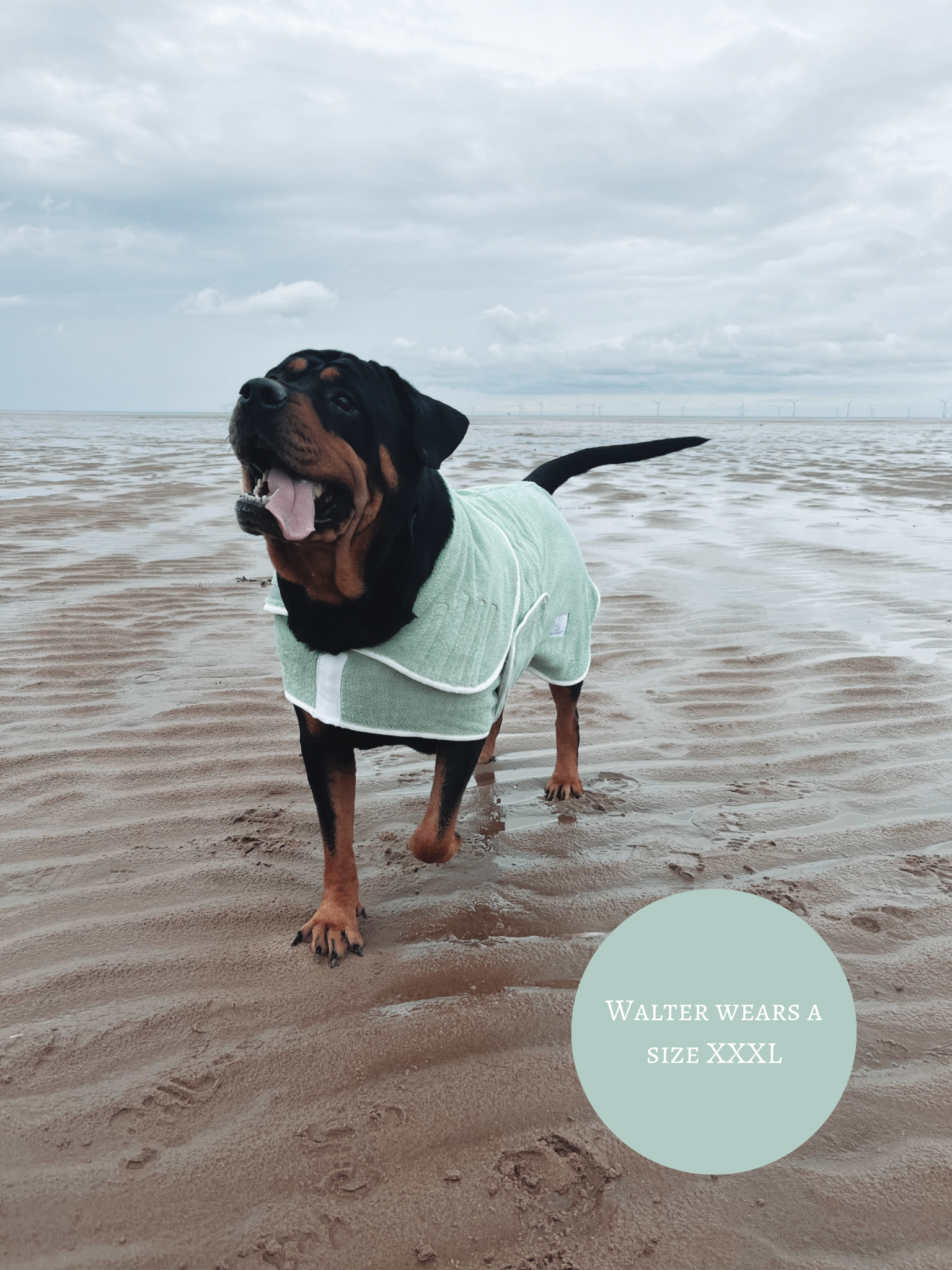 Rottweiler clothes for dogs hot sale